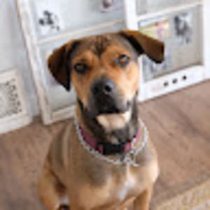 Meet your Posher, Kelly